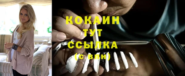 трава Богородицк