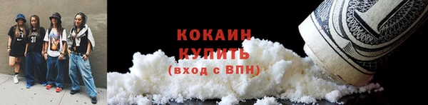трава Богородицк