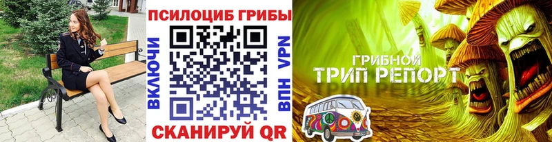купить наркоту  Павлово  Псилоцибиновые грибы мицелий 