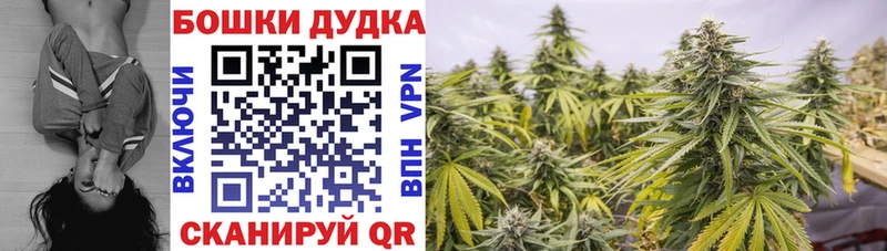 Канабис White Widow Павлово